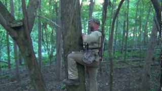 Treestand Placement