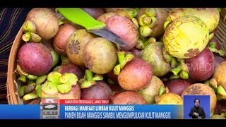 Download lagu Limbah Kulit Manggis Penuh Manfaat mp3