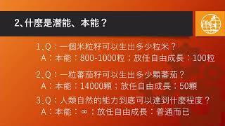 114 10.16 談幼兒大腦發展與潛能開發  孫逸民講師(1)