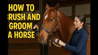 How to Brush and Groom a Horse Properly 🐴 | Horse Care Tutorial for Beginners