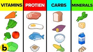 Six Basic Nutrients and How They Affect Your Body