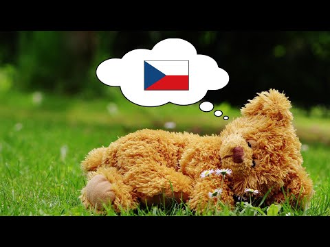 Learn Czech While You Sleep - 1000 Important Czech Words & Phrases