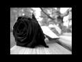 Flores Negras - Los Melódicos