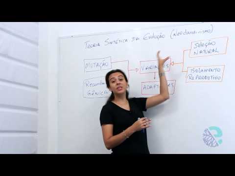 Teoria sintética da evolução