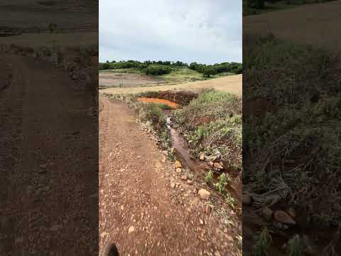 Fazenda Linda Flora em Abatiá Pr