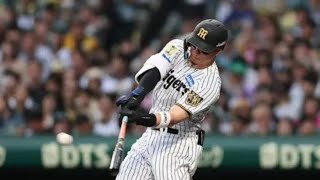 佐藤輝明、甲子園を揺らす衝撃弾🔥バックスクリーン直撃の一撃！#佐藤輝明 #阪神タイガース #ホームラン #プロ野球 #甲子園 #野球ハイライト #NPB #打点王争い #バックスクリーン弾