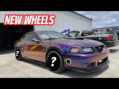 The Turbo Bullitt's New Wheels: Real BBS RK Wheels