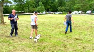 CAE 1 - Test Controllo Affidabilità Equilibrio