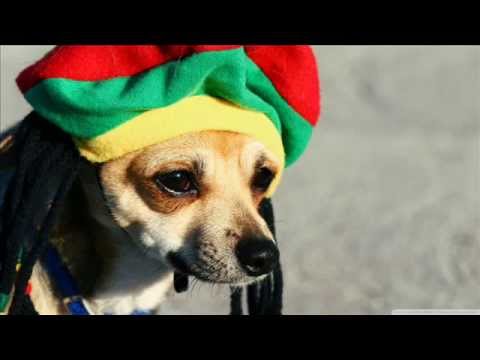 Konnek Ent. - No Doubt In My Head (ft. Bill, Dak, Josh Wawa White & Shy)