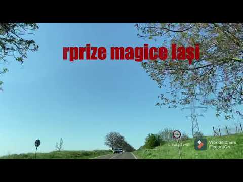 Surprize magice Iași✨pentru mamă🎀in comuna Băcești, județul Vaslui
