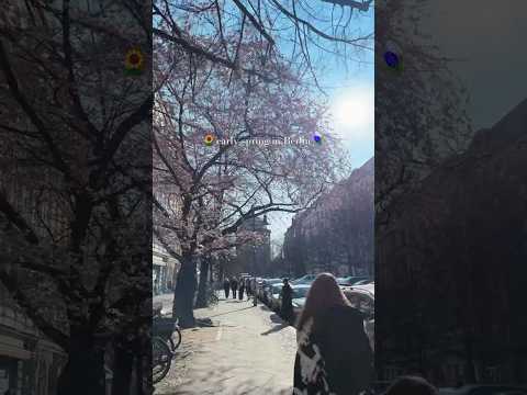 early spring in Berlin 🌷