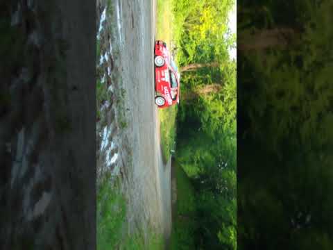 36° rally Bellunese