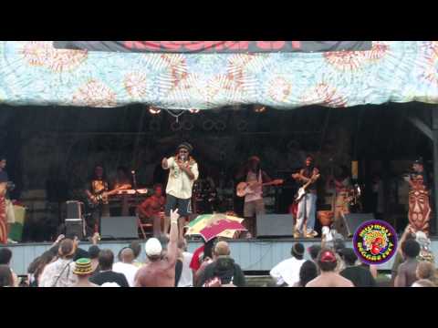 Marty Dread with Ark Band live at Midwest Reggae Festival 2010