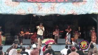 Marty Dread with Ark Band live at Midwest Reggae Festival 2010