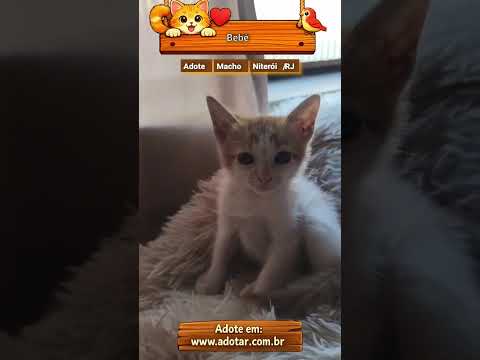 Vídeo de Bebê