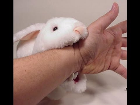 Dylan Dog Mensile N° 24 - I Conigli Rosa Uccidono: Recensione