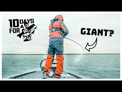 Will I EVER Catch A GIANT Bass Again? ("10 Days" Ep. 4)