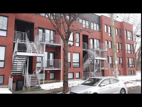 St Remi/Walnut - Video 6 of 8