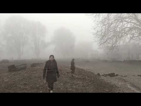 Lost Control (Kitsilano Beach, Vancouver)