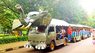 Download lagu Naik kereta odong-odong Gajah Di kebun binatang ragunan mp3