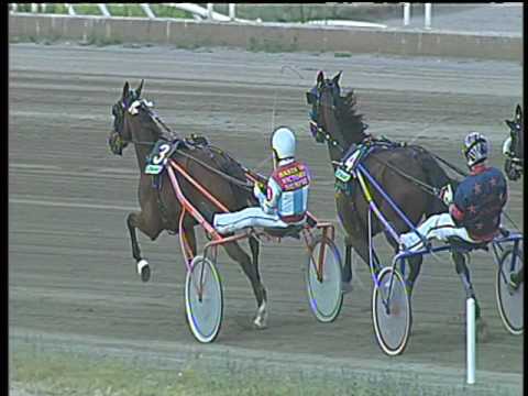 Trotto 21/05/2017 - 6ª corsa