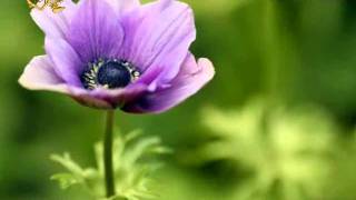 Un homme et une femme