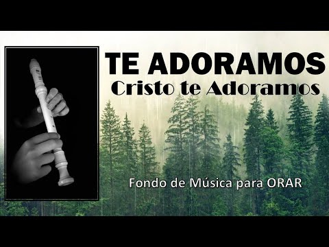 Instrumental Cristiana / TE ADORAMOS - SIN ANUNCIOS / Música para Orar o Meditar - Paz y Calma.