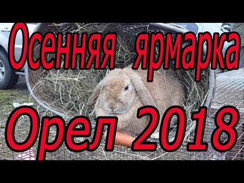 Ярмарка в Орле 2018г КУРЫ, УТИ, ГУСИ, КРОЛИКИ, ГОЛУБИ