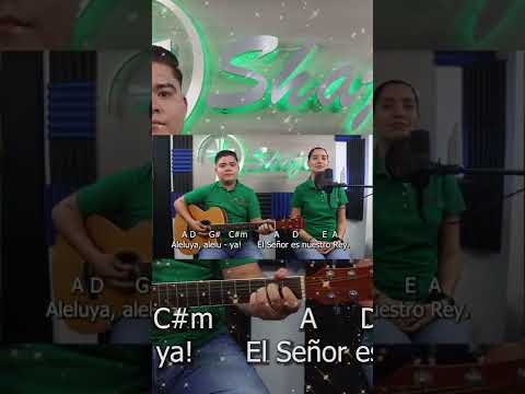 Aleluya El Señor Es Nuestro Rey - Misc Praise Songs
