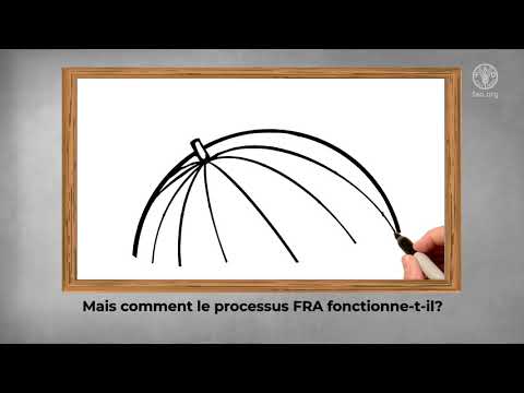 Un aperçu du processus d'évaluation des ressources forestières mondiales