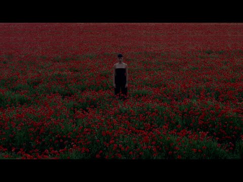 AEREA - Self-destruction (Visualizer)