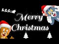 ️Merry Christmas Merry Christmas Whatsapp Status Merry Christmas 2023 Happy Christmas