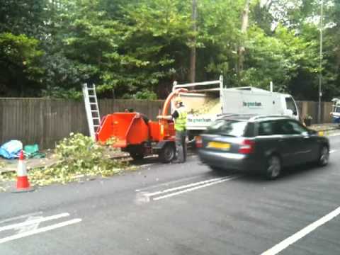 The Green Team (UK) video.