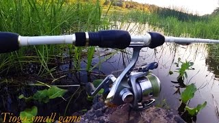 Salmo tioga small game 5 762mf