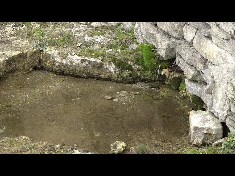 IZVOARELE SECATE DIN SATUL IZVOARE