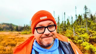 Wildlife Surprise on a Newfoundland Moose Hunt