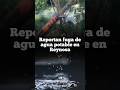Homepage 5 Video thumbnail