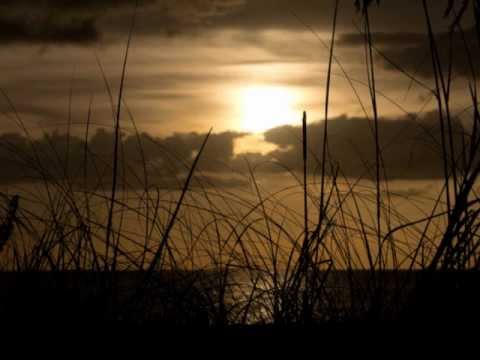 Everytime - Heather Nova