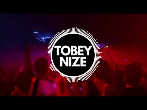 A2M - I Got Bitches (TOBEY NIZE & A.K Germany Remix)