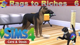 Let's Play The Sims 4 Rags to Riches Cats and Dogs EP6