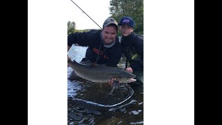 Pêche au saumon 2019