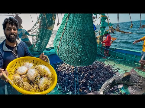 👉 Real Adventure Life of Fishermen 🚤 |One Day Fishing at Sea | Many Varieties of Fish Caught|UNCUT 