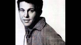 I Love You The Way You Are ~ Bobby Vinton  1962