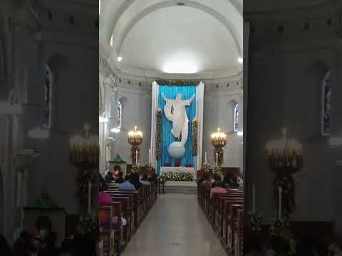 basílica nuestra señora de la Asunción Popayán Cauca 2026