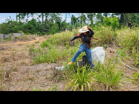 A QUEDA FOI FEIA! DEU RUIM NO REPASSE DOS BOIS COM MINHA IRMÃ @FernandaAtaide 