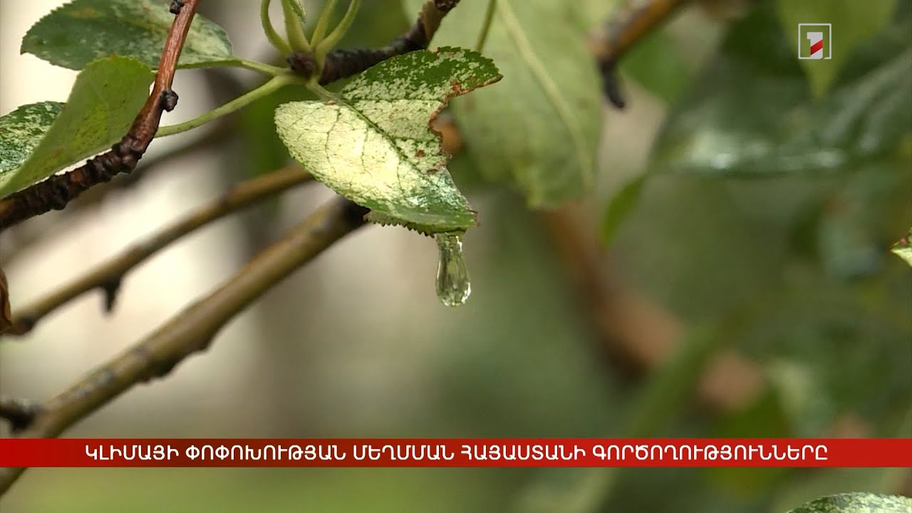 Կլիմայի փոփոխության մեղմման Հայաստանի գործողությունները