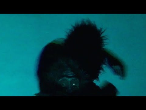 Hot Jam Factory  -  12:00