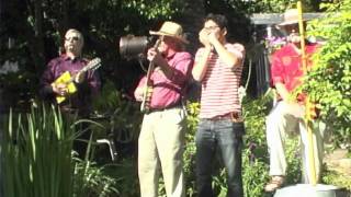 Viola Lee Blues - Cannon's Jug Stompers