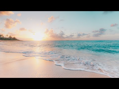 #4k videos#neture videos 4k#subscribe #like #