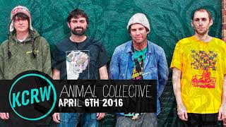 Animal Collective (KCRW, 06-04-2016)